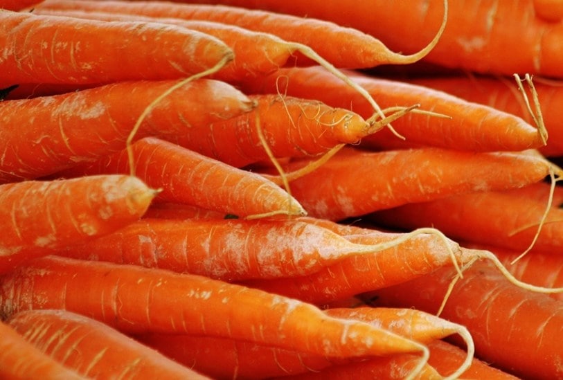 Carrot recipes