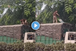 Man climbed on truck to catch the kite during makar Sankranti pune video viral