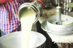 Food and Drug Administration conducts statewide survey campaign against milk adulteration Mumbai news