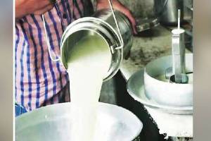 Record daily collection of 1 crore 71 lakh liters of milk in the financial year