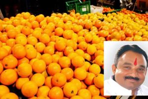 State government approves subsidy of Rs 165 crore for orange producers