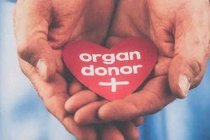 181 people life saved from organ donation highest rate of kidney transplants