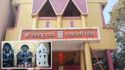 देवीच्या मूर्तीवरील १५ लाखाचे सोन्या-चांदीचे दागिने लंपास