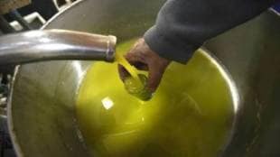 Edible oil imports increase by 16 percent What was the impact of the increase in palm oil prices Mumbai print news