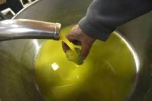 Edible oil imports increase by 16 percent What was the impact of the increase in palm oil prices Mumbai print news