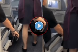 Passanger records air hostess skirt video in flight vulgar video viral on social media