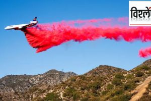 pink powder on los angeles