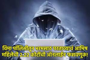 pune cyber crime