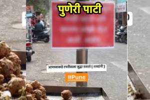 puneri pati viral photo