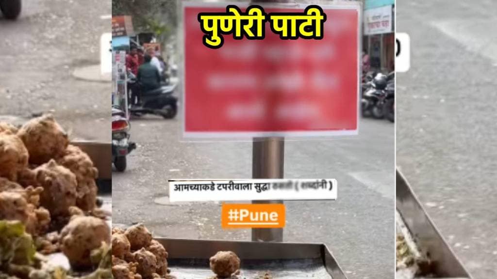 puneri pati viral photo