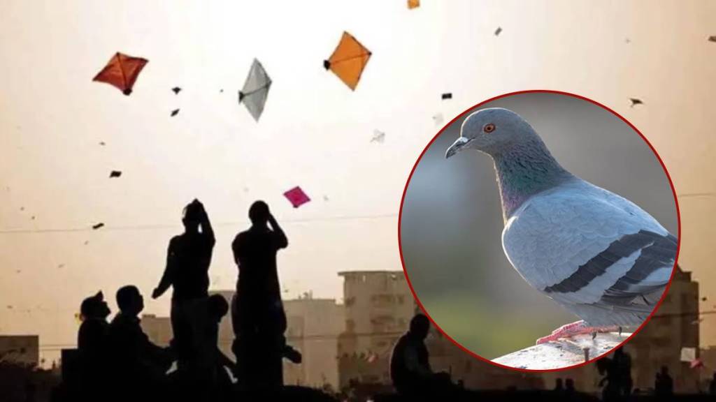 Helpline launched for injured birds on the occasion of Makar Sankranti mumbai news