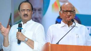 Sharad Pawar, Ajit Pawar share stage at Baramati event