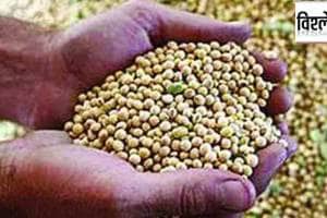 india struggles to meet soybean procurement goals