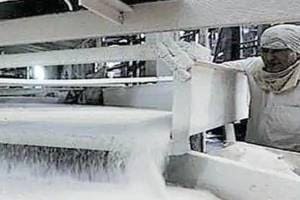 india sugar production declines by 2 million tonnes