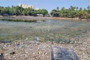 Municipal administration to clean 23 ponds in Thane