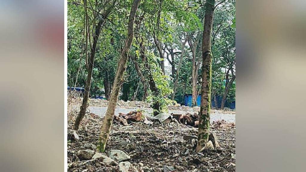 Replantation of 2097 trees for Thane Municipal Headquarters