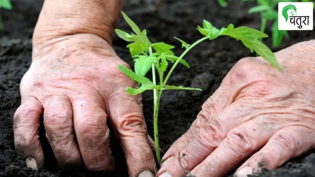 village that plants tree on named of girl