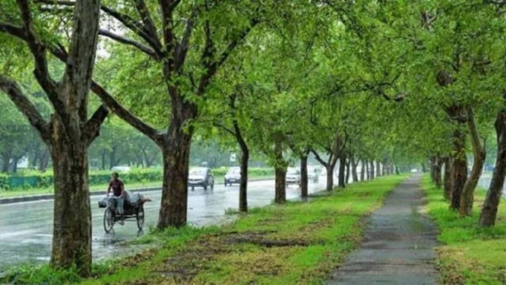 32 lakh trees in Pimpri-Chinchwad Municipal Corporation claims