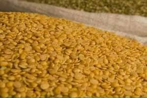 tur dal cost decrease by rs 50 per kg other pulses price drop