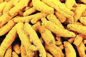 India turmeric export target of 1 billion doller by 2030