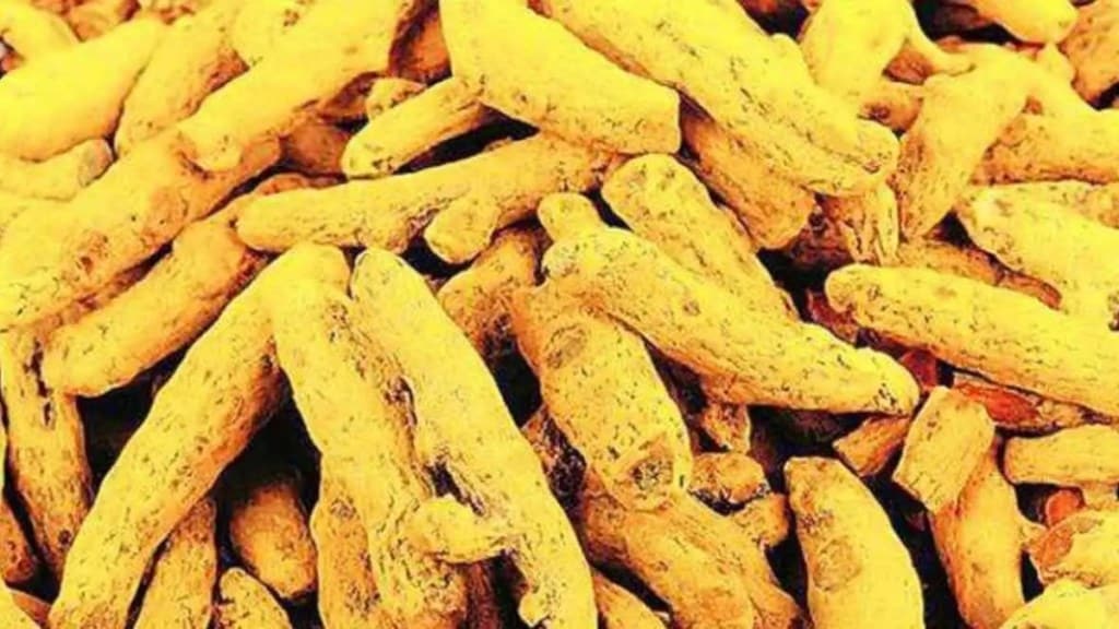 India turmeric export target of 1 billion doller by 2030