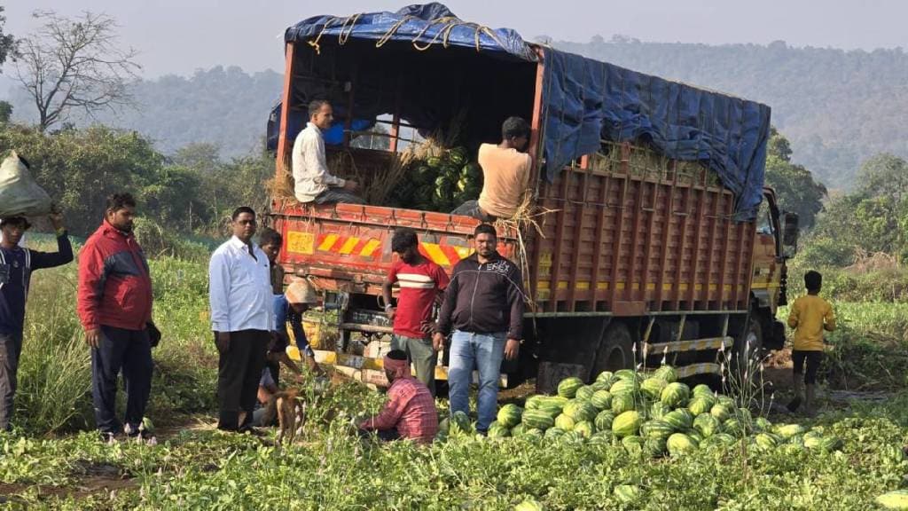 watermelon Raigad demand Dubai business export