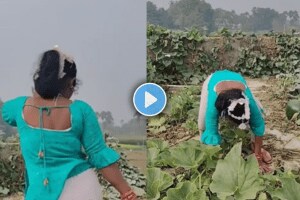 Viral video of a woman dancing in torn clothes ashleel video viral on social media