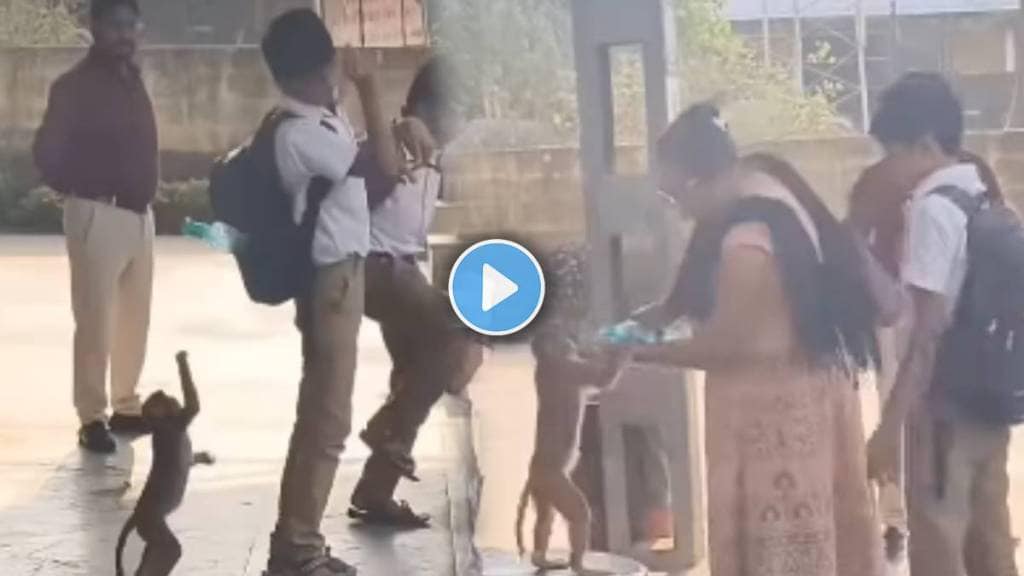 woman fed a thirsty monkey water