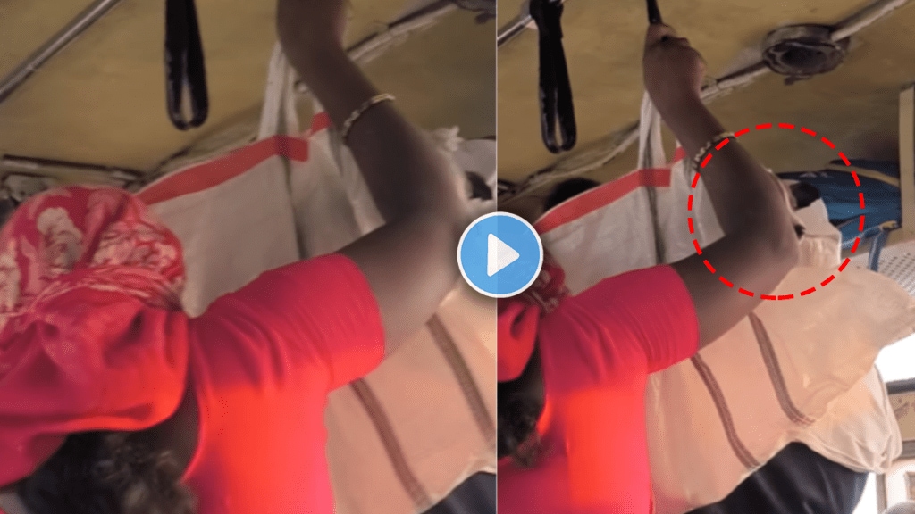 Viral video of a woman travelling in a bus with dog puppy