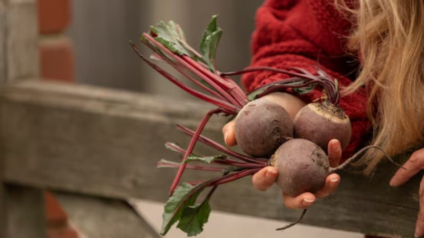 Can beetroot control blood sugar heres how people with diabetes can take it