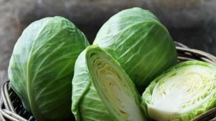 Cabbage is priced at Rs 6 to 8 per kg in the wholesale market