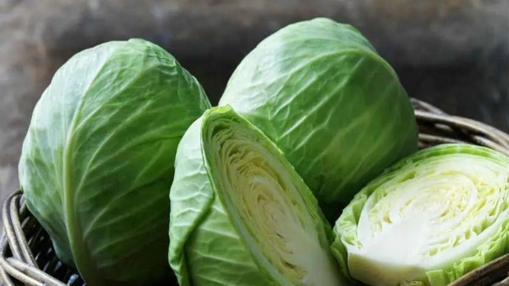 Cabbage is priced at Rs 6 to 8 per kg in the wholesale market