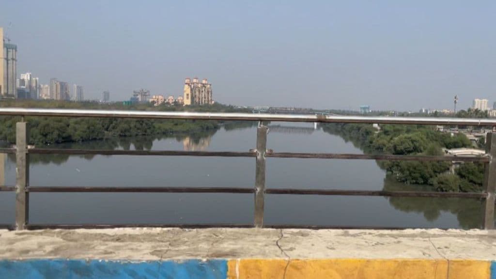 Safety equipment finally on Kalwa bridge