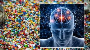 Microplastics in Brain