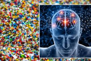 Microplastics in Brain