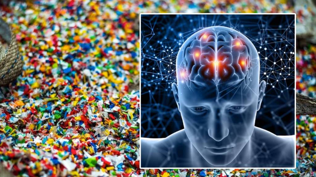 Microplastics in Brain