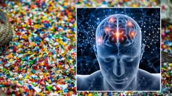 Microplastics in Brain: मानवी डोक्यात चमचाभर प्लास्टिक; नव्या संशोधनातून धक्कादायक माहिती आली समोर