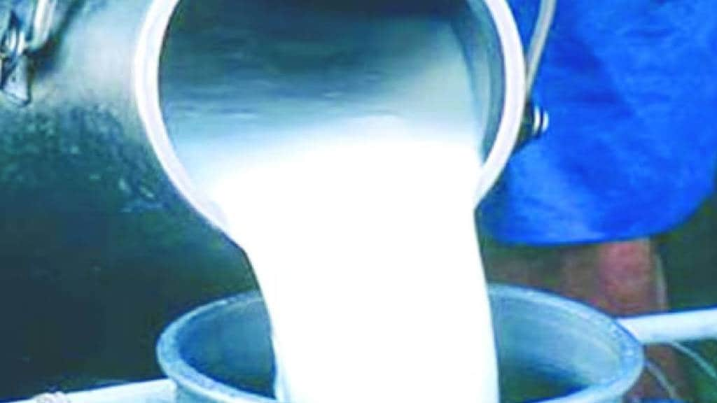 Milk producers of Ahilyanagar are owed a subsidy of Rs 224 crores