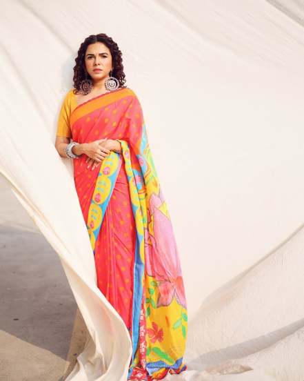 Mitali Mayekar Colourful Saree Look