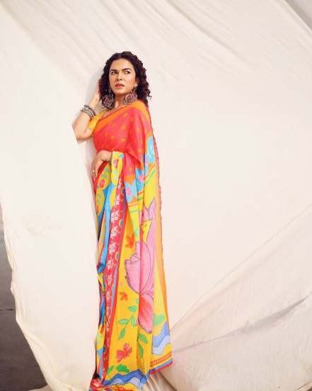 Mitali Mayekar Colourful Saree Look