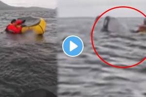 Shocking video Swallowed by a whale, still survived: Kayaker’s near-death encounter caught on camera shocks the social media