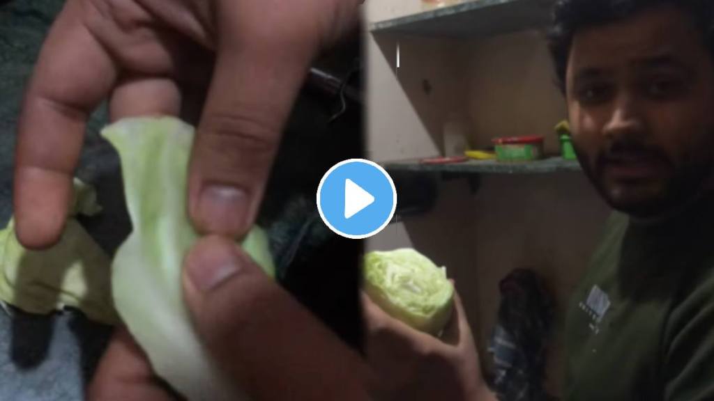 Shocking video man order cauliflower from zepto and found fake vegetables cauliflower video viral