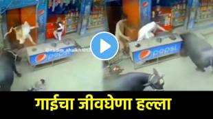 Shocking video Cow attack on peoples children on road dangerous shocking video viral on social Media