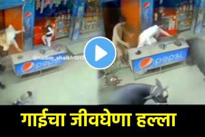 Shocking video Cow attack on peoples children on road dangerous shocking video viral on social Media