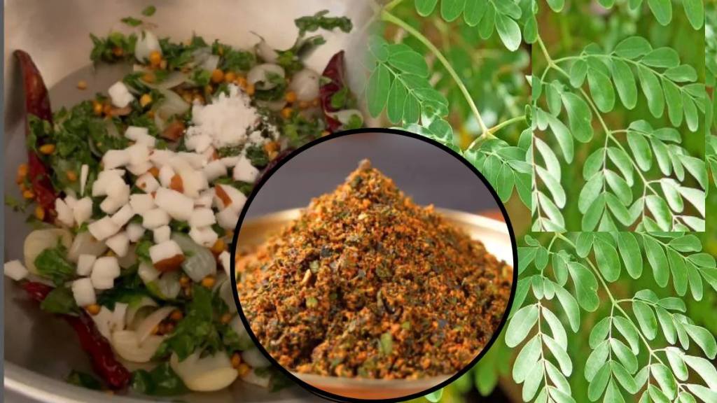 Shevgyachi Chutney Recipe & Benefits How To Make Moringa leaves Chutney Moringa leaves Dry Chutney