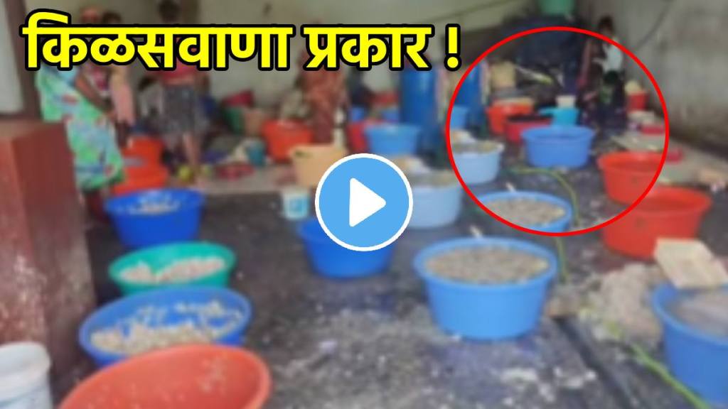 shocking video making ginger garlic paste in factory manufacturing in unhygienic manner video goes viral on social media