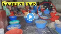 महिलांनो जेवणात विकतची आलं-लसूण पेस्ट वापरता की गटाराचं पाणी? हा VIDEO पाहाल तर झोप उडेल; लोकही प्रचंड संतापले