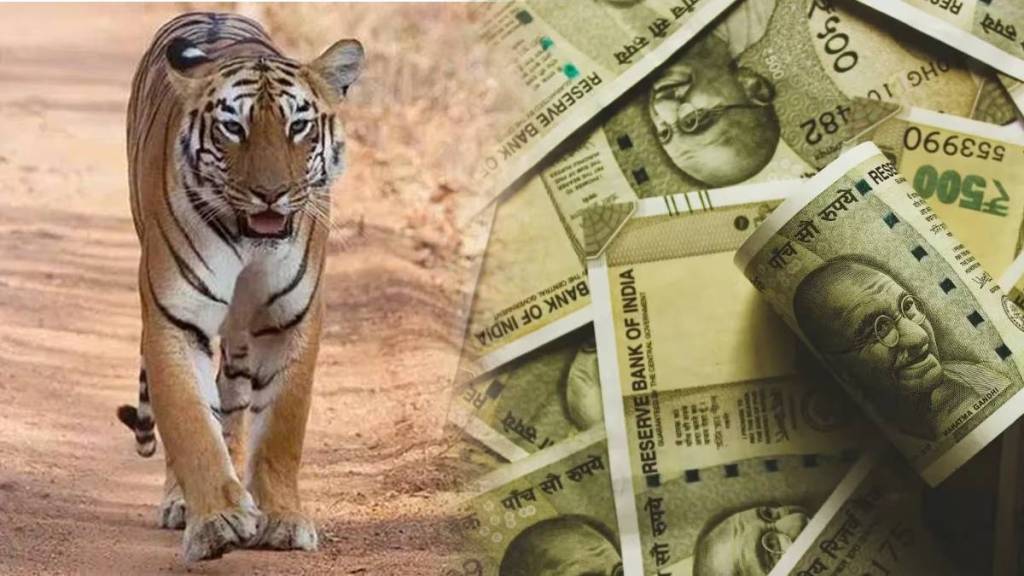 tiger poaching nagpur news in marathi