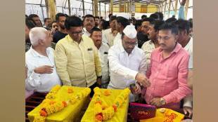 In Sangli market green currant sold for 225 kg and yellow for 191 kg this season