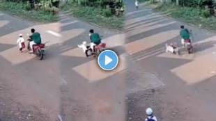 Accident Viral Video